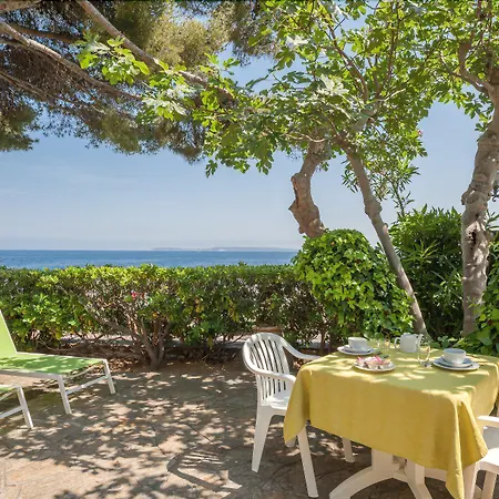 Astria Ле-Лаванду